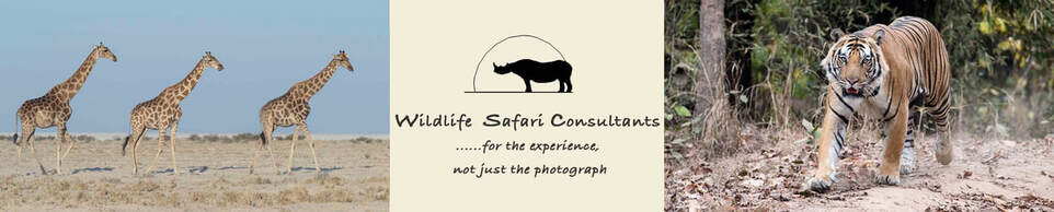 Wildlife Safari Consultants - Africa & India