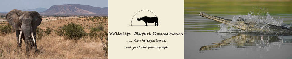 Wildlife Safari Consultants - Africa & India